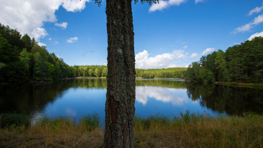 cyklotrasy_ceska-kanada_533x300_